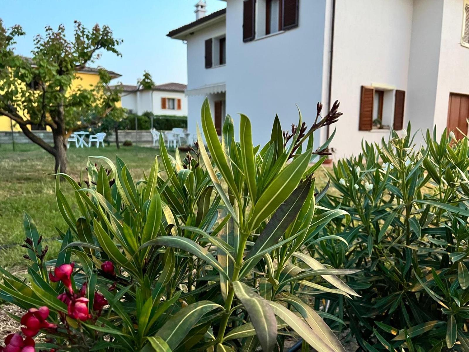 Private Apartment With Garden كانّيجوني المظهر الخارجي الصورة